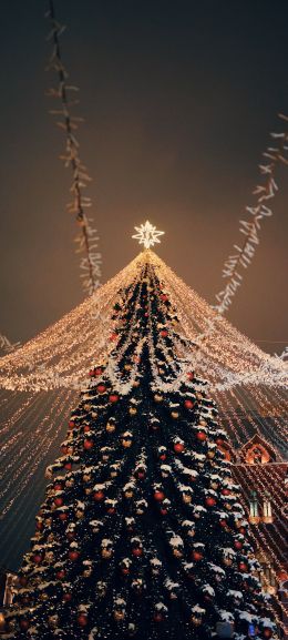 Christmas tree, holiday lights Wallpaper 720x1600