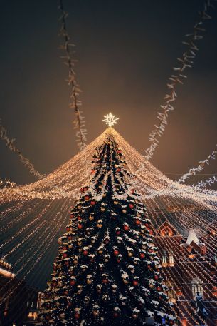 Christmas tree, holiday lights Wallpaper 4000x6000