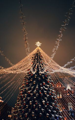 Christmas tree, holiday lights Wallpaper 1752x2800