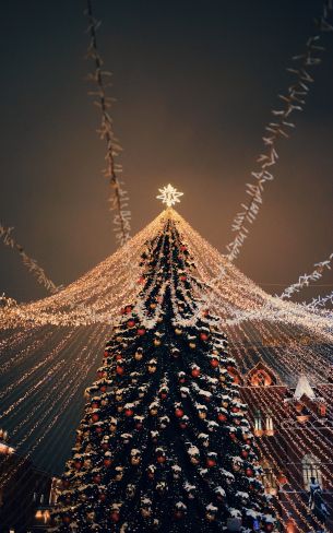 Christmas tree, holiday lights Wallpaper 800x1280