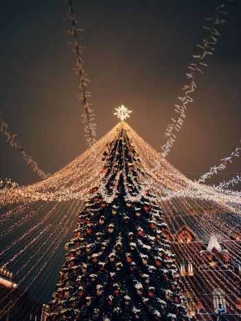 Christmas tree, holiday lights Wallpaper 1536x2048