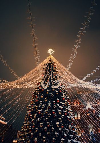 Christmas tree, holiday lights Wallpaper 1668x2388