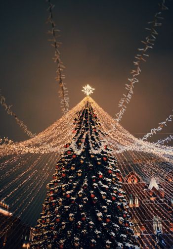 Christmas tree, holiday lights Wallpaper 1640x2360