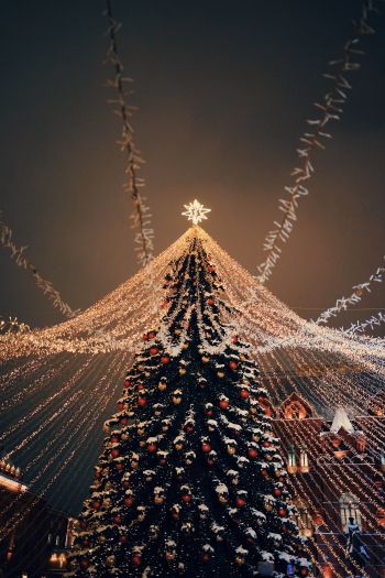 Christmas tree, holiday lights Wallpaper 640x960