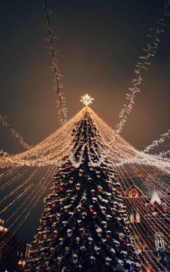 Christmas tree, holiday lights Wallpaper 1600x2560