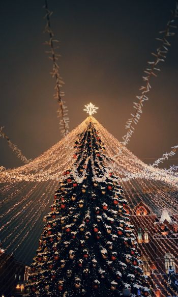 Christmas tree, holiday lights Wallpaper 1200x2000
