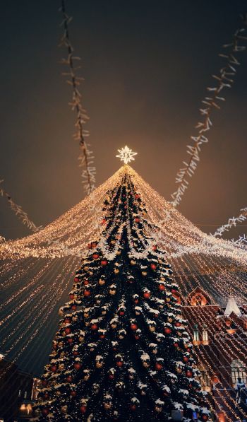 Christmas tree, holiday lights Wallpaper 600x1024