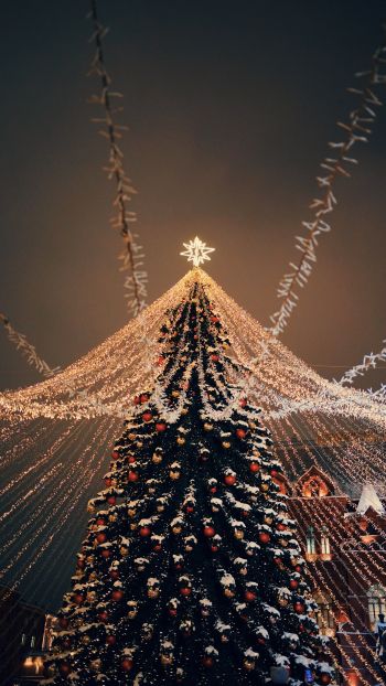 Christmas tree, holiday lights Wallpaper 750x1334
