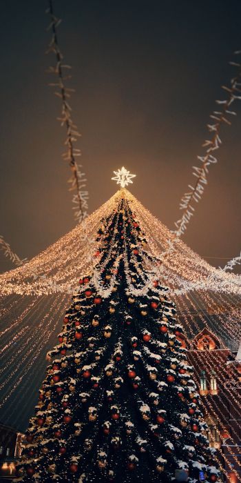 Christmas tree, holiday lights Wallpaper 720x1440