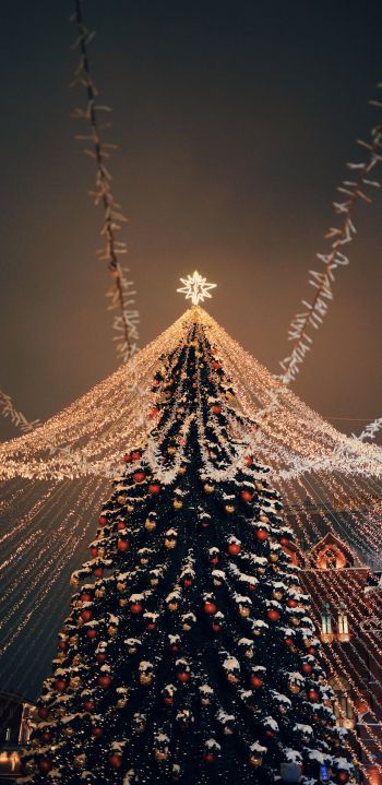 Christmas tree, holiday lights Wallpaper 1080x2220