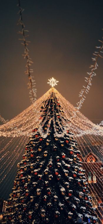 Christmas tree, holiday lights Wallpaper 1125x2436