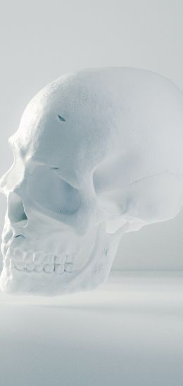 skull, white, weightlessness Wallpaper 720x1520