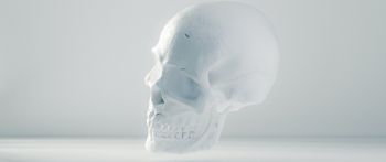 skull, white, weightlessness Wallpaper 2560x1080