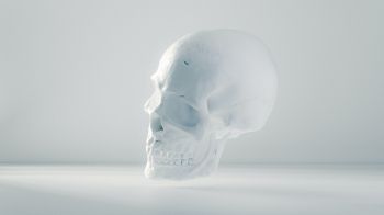 skull, white, weightlessness Wallpaper 1600x900