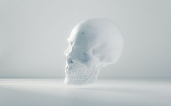 skull, white, weightlessness Wallpaper 2560x1600