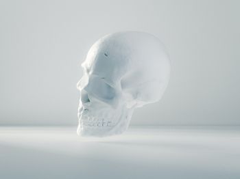 skull, white, weightlessness Wallpaper 1024x768