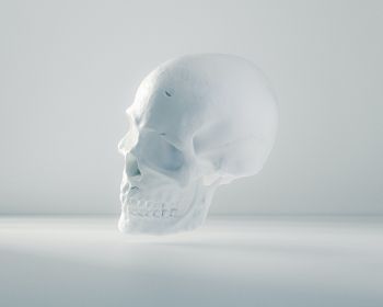 skull, white, weightlessness Wallpaper 1280x1024