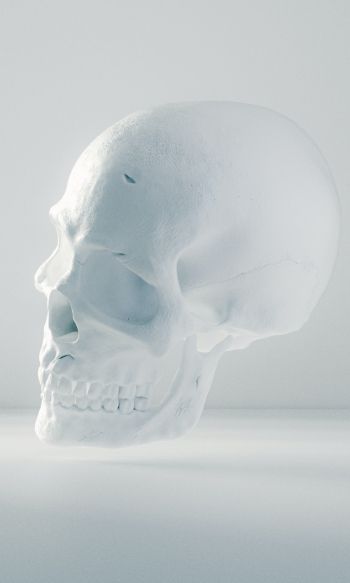 skull, white, weightlessness Wallpaper 1200x2000