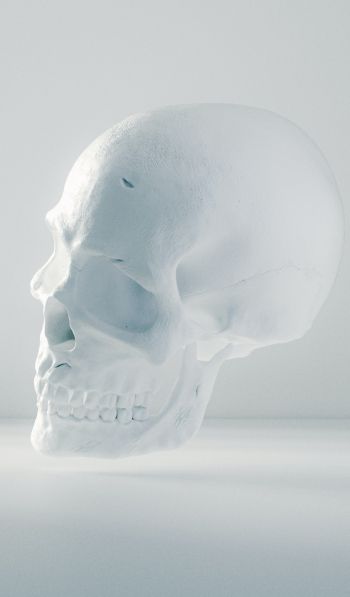 skull, white, weightlessness Wallpaper 600x1024