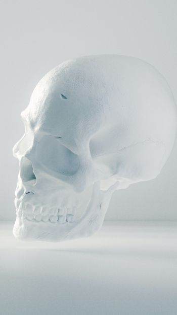 Обои 640x1136 череп, белый, невесомость