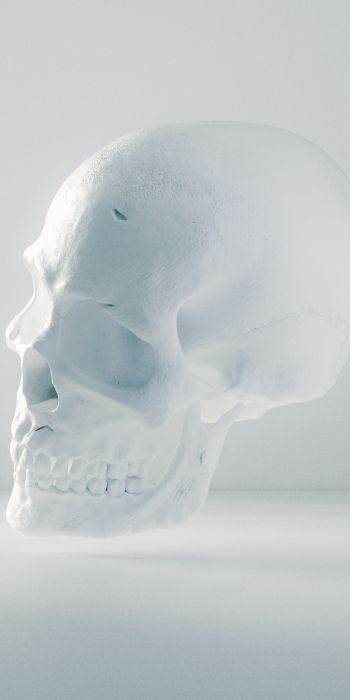 skull, white, weightlessness Wallpaper 720x1440