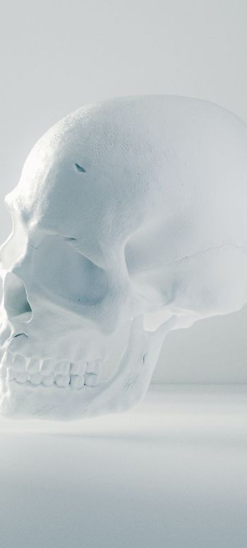 skull, white, weightlessness Wallpaper 720x1600