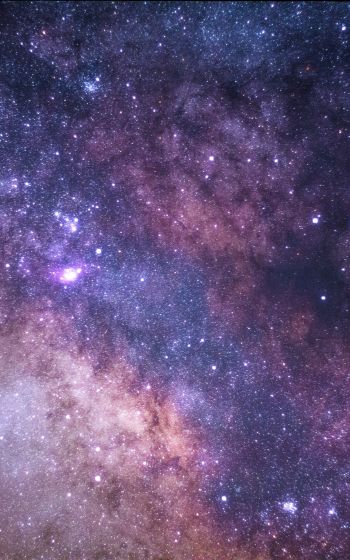 universe, stars, night Wallpaper 1200x1920