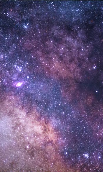universe, stars, night Wallpaper 1200x2000