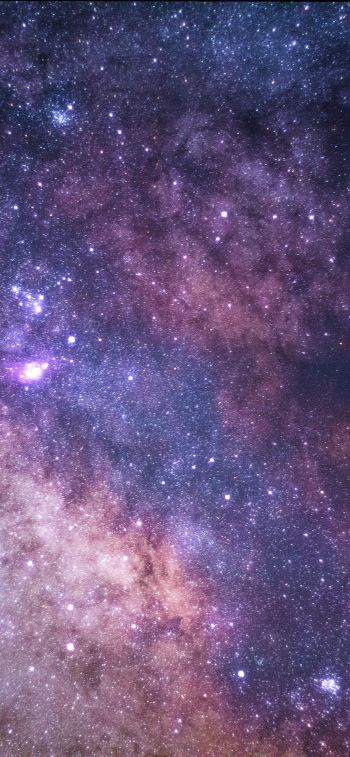 universe, stars, night Wallpaper 828x1792