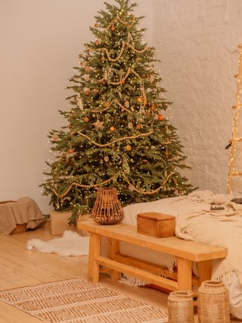 Обои 1668x2224 рождественская елка