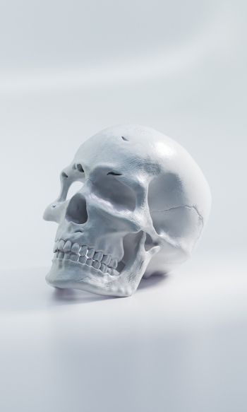 skull, white background Wallpaper 1200x2000