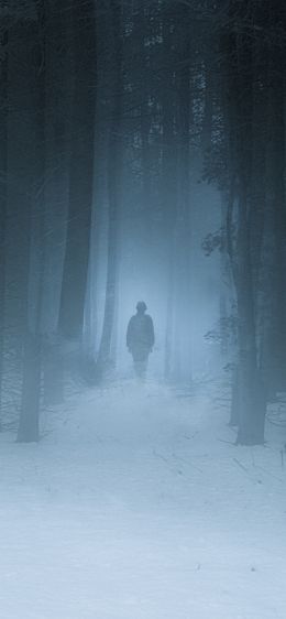 foggy forest, man, snow Wallpaper 828x1792