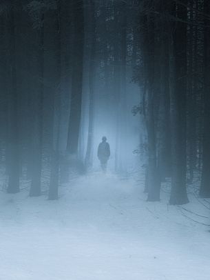 foggy forest, man, snow Wallpaper 1620x2160