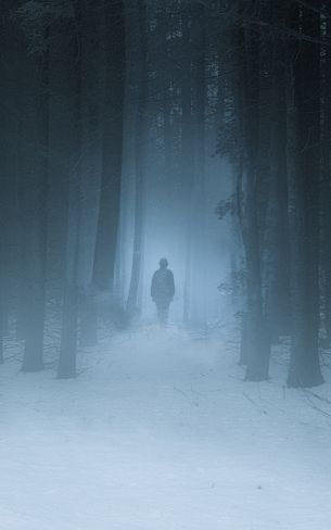 foggy forest, man, snow Wallpaper 1600x2560