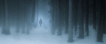 foggy forest, man, snow Wallpaper 2560x1080