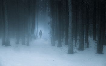 Обои 2560x1600 туманный лес, человек, снег