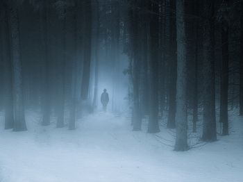 foggy forest, man, snow Wallpaper 800x600