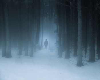 foggy forest, man, snow Wallpaper 1280x1024