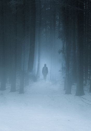 foggy forest, man, snow Wallpaper 1668x2388