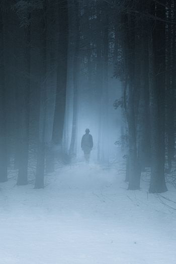 foggy forest, man, snow Wallpaper 640x960