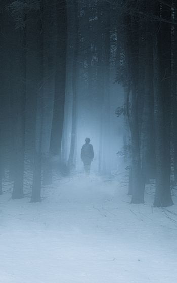 foggy forest, man, snow Wallpaper 800x1280