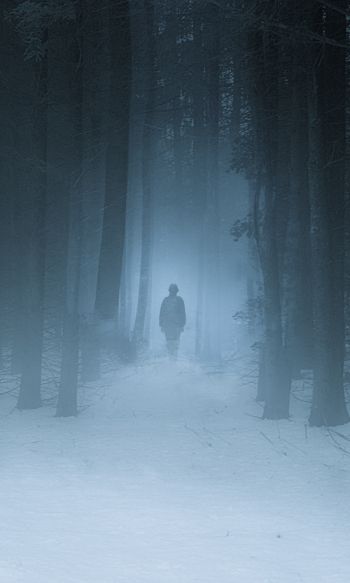 foggy forest, man, snow Wallpaper 1200x2000