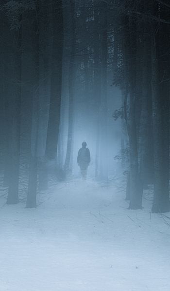 foggy forest, man, snow Wallpaper 600x1024