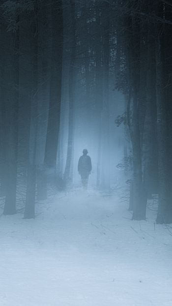 Обои 640x1136 туманный лес, человек, снег