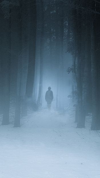 Обои 1080x1920 туманный лес, человек, снег