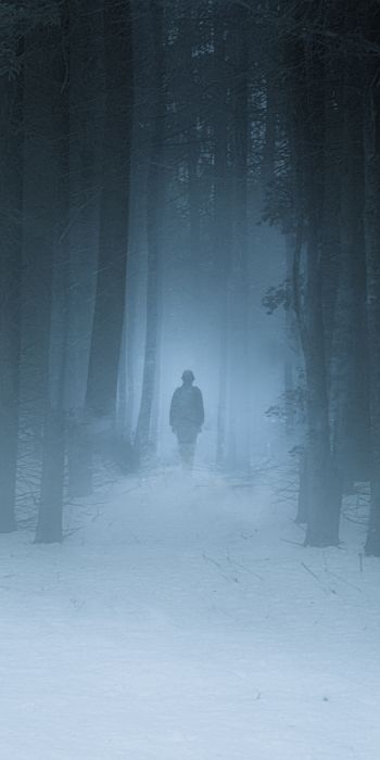 foggy forest, man, snow Wallpaper 720x1440