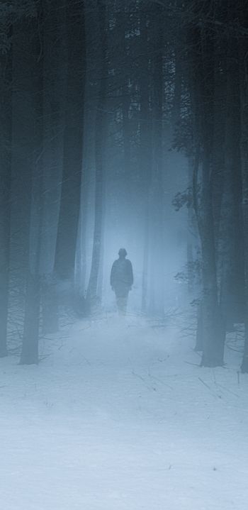 foggy forest, man, snow Wallpaper 1080x2220