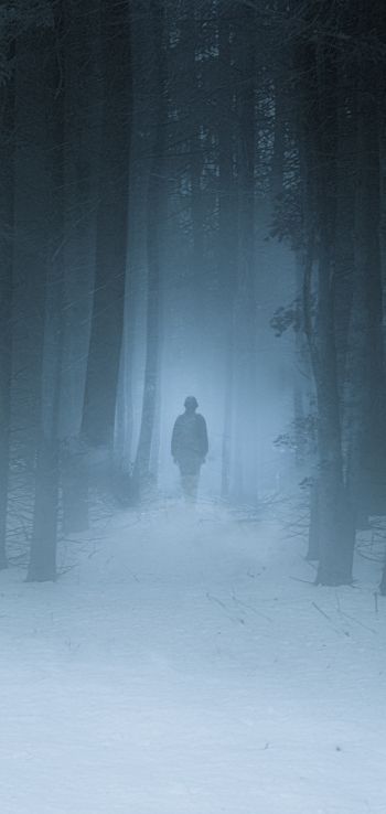 Обои 1080x2280 туманный лес, человек, снег