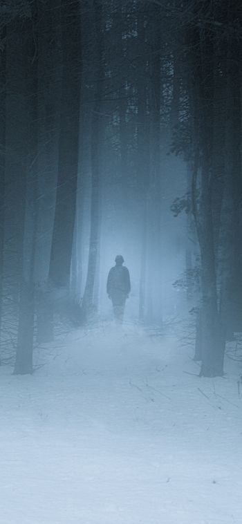 foggy forest, man, snow Wallpaper 1080x2340