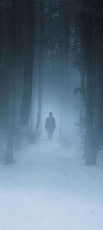 foggy forest, man, snow Wallpaper 1440x3200